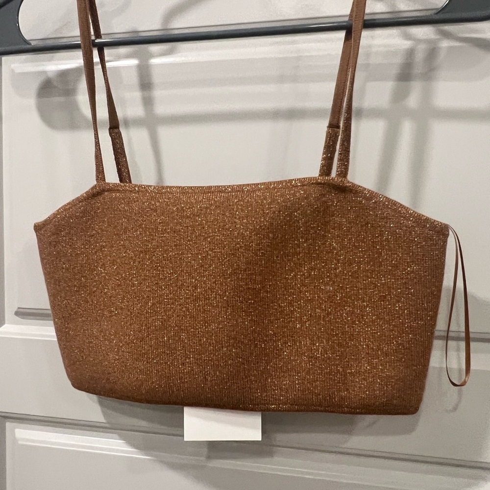 A.L.C. Shimmering Brown Clutch